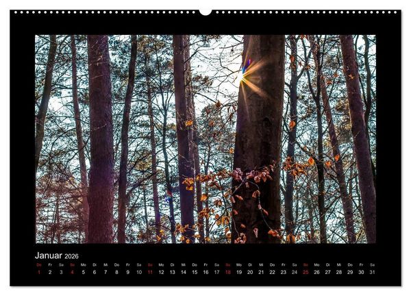 Produktbild: W&auml;lder, fotografiert auf vier Kontinenten (hochwertiger Premium Wandkalender 2026 DIN A2 quer), Kunstdruck in Hochglanz