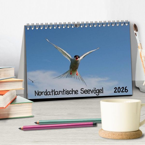 Produktbild: Nordatlantische Seev&ouml;gel (Tischkalender 2026 DIN A5 quer), CALVENDO Monatskalender