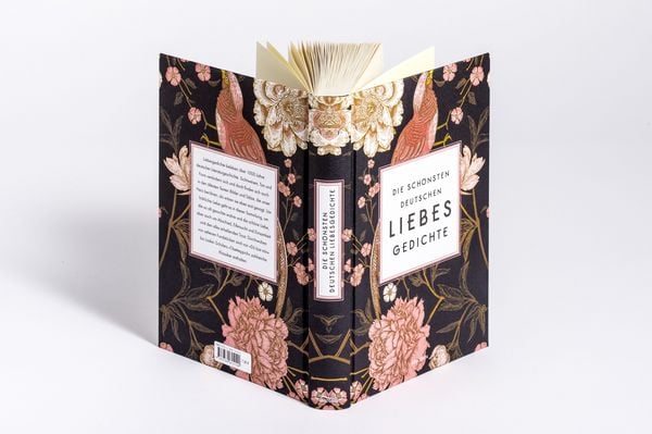 Produktbild: Die sch&ouml;nsten deutschen Liebesgedichte