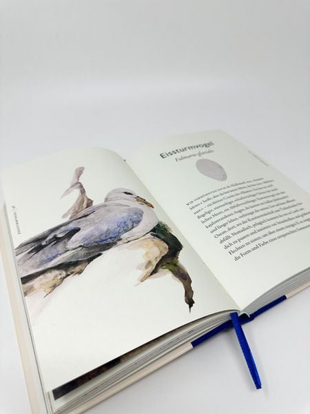 Produktbild: Das Buch der V&ouml;gel