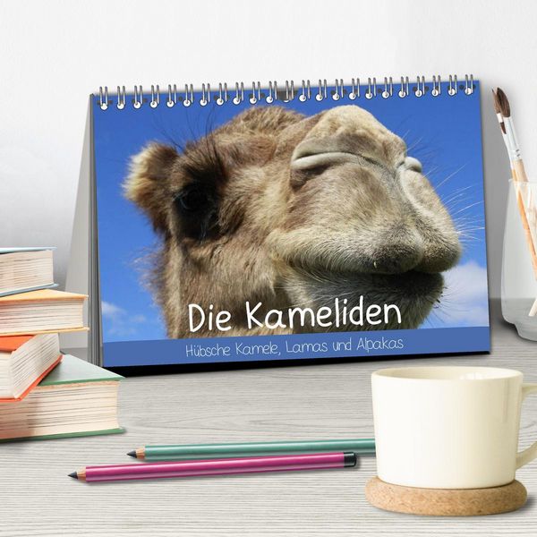 Produktbild: Die Kameliden. H&uuml;bsche Kamele, Lamas und Alpakas (Tischkalender 2026 DIN A5 quer), CALVENDO Monatskalender