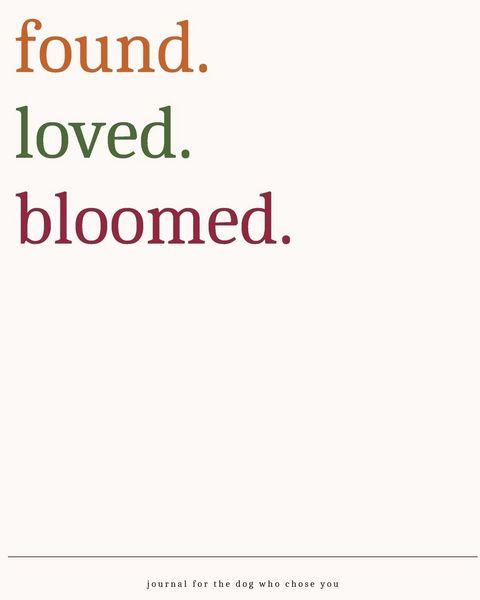 Produktbild: FoundLovedBloomed