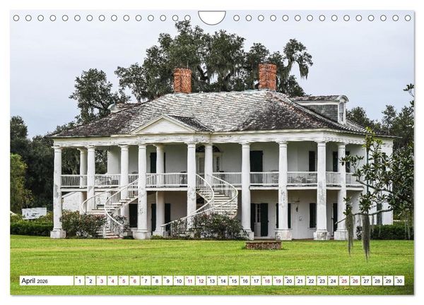 Produktbild: Louisiana - S&uuml;mpfe und Plantagenh&auml;user (Wandkalender 2026 DIN A4 quer), CALVENDO Monatskalender
