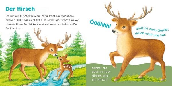 Produktbild: H&ouml;r mal, wie ich keckern kann (Mein erstes Streichel-Soundbuch 3)