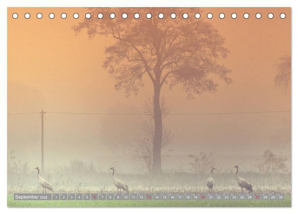 Produktbild: KranichRomantik (Tischkalender 2026 DIN A5 quer), CALVENDO Monatskalender