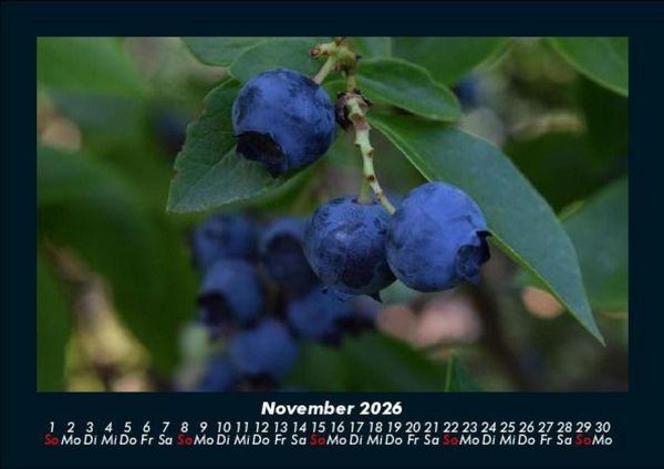 Produktbild: Obstkalender 2026 Fotokalender DIN A5