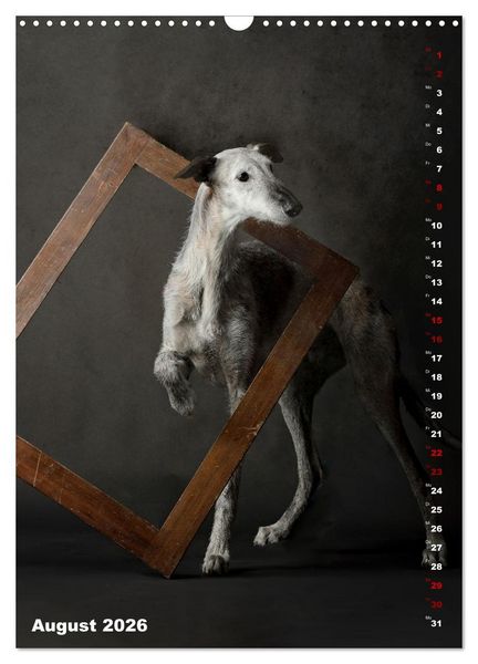 Produktbild: dogmuse deluxe (Wandkalender 2026 DIN A3 hoch), CALVENDO Monatskalender