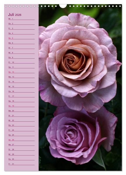 Produktbild: Rosen Symphonie (Wandkalender 2026 DIN A3 hoch), CALVENDO Monatskalender