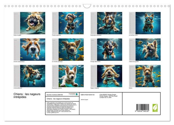 Produktbild: Chiens : les nageurs intr&eacute;pides (Calendrier mural 2026 DIN A3 vertical), CALVENDO calendrier mensuel