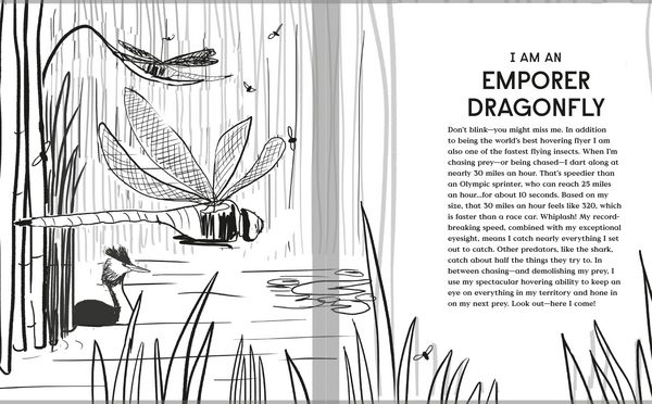Produktbild: Book of Flight