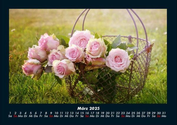 Produktbild: Rosen-Kalender 2025 Fotokalender DIN A4