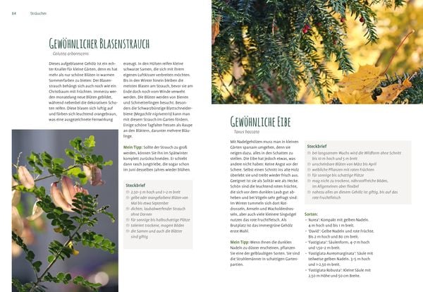"Heimische Pflanzen für den Garten" online kaufen