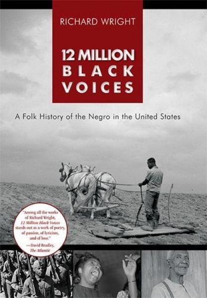 Produktbild: 12 Million Black Voices