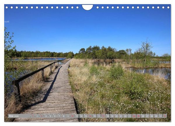 Produktbild: Pietzmoor - ein Hochmoor in der L&uuml;neburger Heide (Wandkalender 2026 DIN A4 quer), CALVENDO Monatskalender