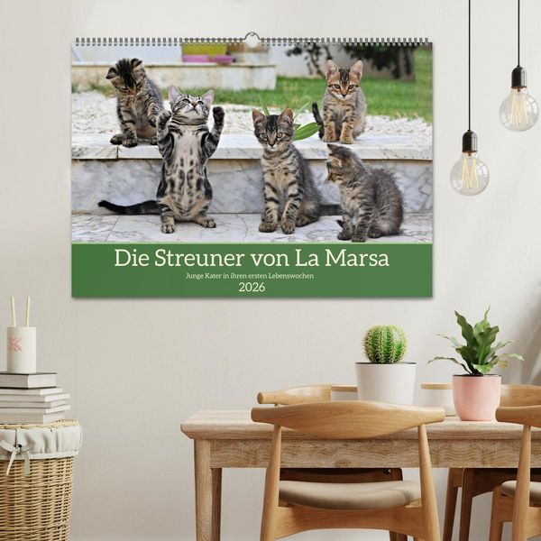 Produktbild: Die Streuner von La Marsa (Wandkalender 2026 DIN A2 quer), CALVENDO Monatskalender