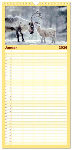 Produktbild: Familienplaner 2026 - Wenn Vertrauen siegt mit 5 Spalten (Wandkalender, 21 x 45 cm) CALVENDO