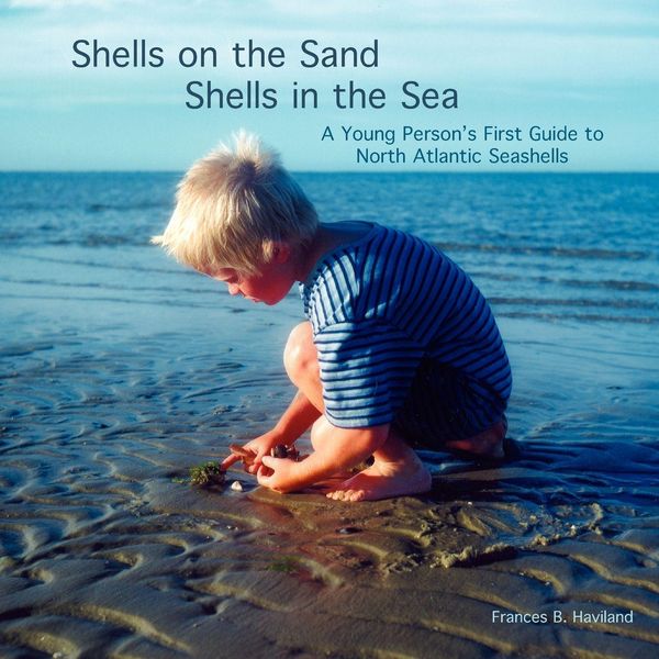 Produktbild: Shells on the Sand, Shells in the Sea
