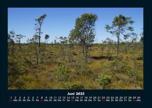 Produktbild: Naturlandschaften 2025 Fotokalender DIN A4