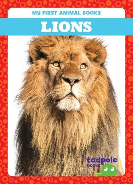 Produktbild: Lions