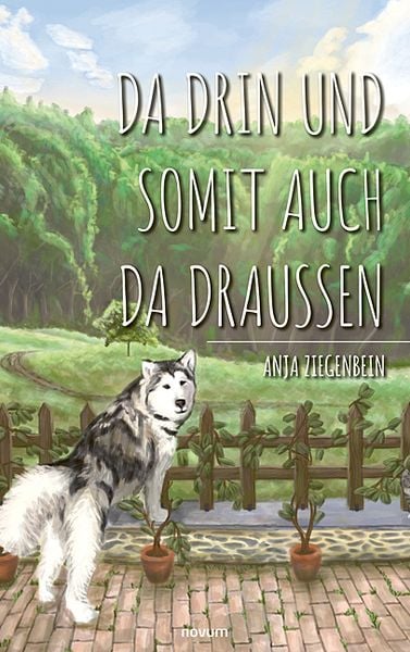 Da drin und somit auch da draußen, Taschenbuch von Anja Ziegenbein, Novum Verlag, 9783991468677