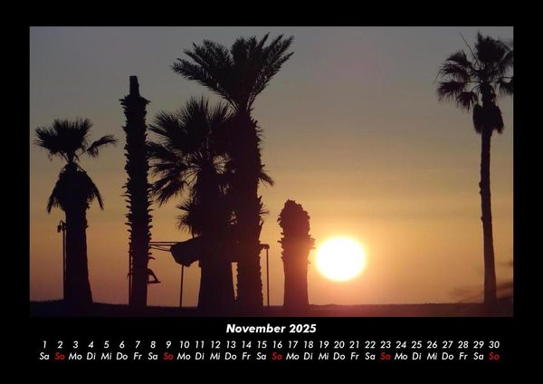 Produktbild: Palmentraum 2025 Fotokalender DIN A3