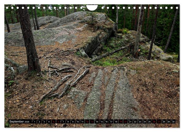 Produktbild: Tiveden, der NatURWALD in Schweden (Wandkalender 2026 DIN A4 quer), CALVENDO Monatskalender