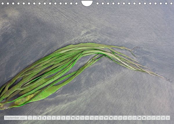 Produktbild: Am Strand - Fundst&uuml;cke und Kunstwerke (Wandkalender 2022 DIN A4 quer)