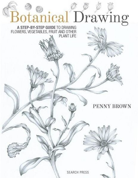 Produktbild: Botanical Drawing
