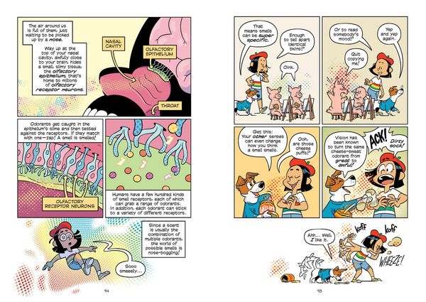 Produktbild: Science Comics: The Senses