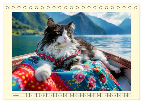 Produktbild: Katzen-Divas beim alpinen Fotoshoot. Extravagante Katzenmode (Tischkalender 2026 DIN A5 quer), CALVENDO Monatskalender
