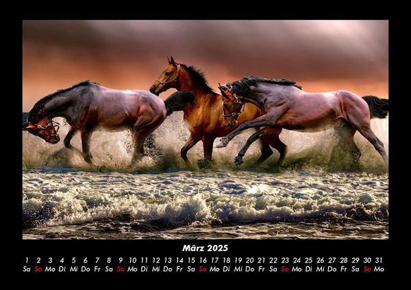 Produktbild: Pferdegefl&uuml;ster 2025 Fotokalender DIN A3