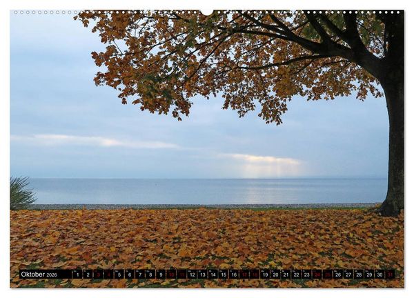 Produktbild: Sehenswerter Bodensee (Wandkalender 2026 DIN A2 quer), CALVENDO Monatskalender