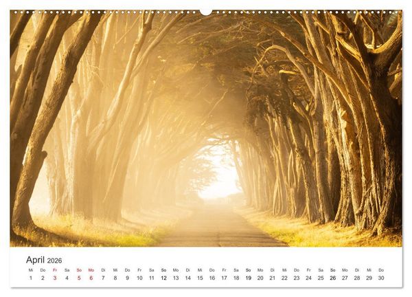Produktbild: Lichtmomente - Fotografien, die in einem besonderen Licht erstrahlen. (hochwertiger Premium Wandkalender 2026 DIN A2 quer), Kunstdruck in Hochglanz