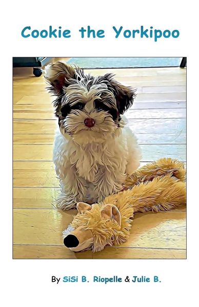Produktbild: Cookie the Yorkipoo