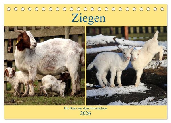 Produktbild: Ziegen - Die Stars aus dem Streichelzoo (Tischkalender 2026 DIN A5 quer), CALVENDO Monatskalender