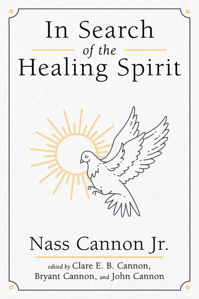 Produktbild: In Search of the Healing Spirit