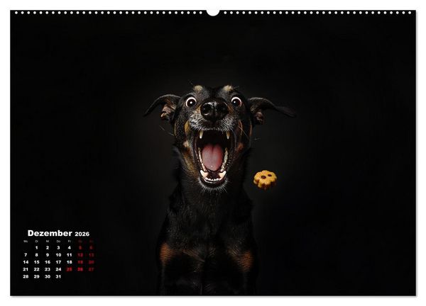 Produktbild: Leckerchen! (Wandkalender 2026 DIN A2 quer), CALVENDO Monatskalender