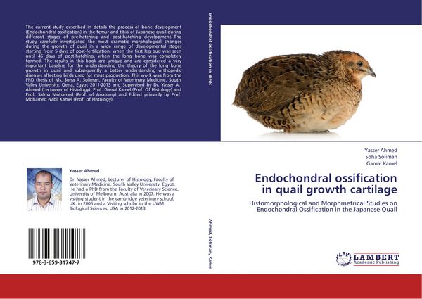 Produktbild: Endochondral ossification in quail growth cartilage