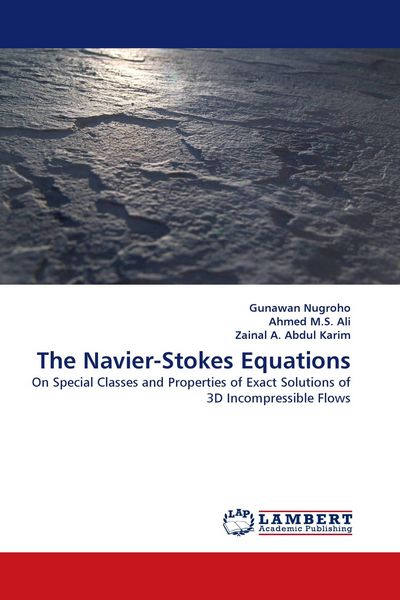 Produktbild: The Navier-Stokes Equations