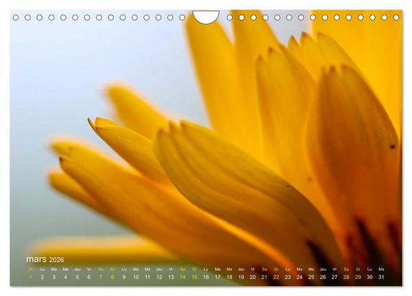 Produktbild: Au c&oelig;ur d&rsquo;une nature color&eacute;e (Calendrier mural 2026 DIN A4 vertical), CALVENDO calendrier mensuel