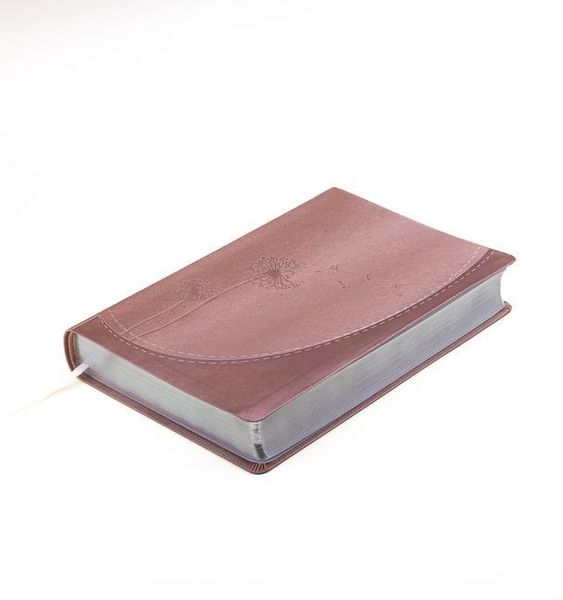 Produktbild: Biblia Para Mujeres Reina Valera 1960 - de Promesas Inspira Letra Gigante (13 Pts) Piel Especial Rosa Dorado Spanish Promise Bible