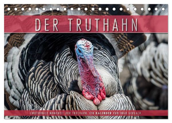 Produktbild: Emotionale Momente: Der Truthahn. (Tischkalender 2026 DIN A5 quer), CALVENDO Monatskalender