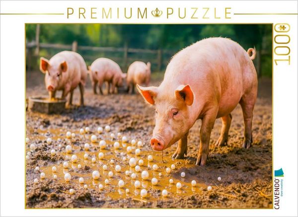 Produktbild: CALVENDO Puzzle Perlen vor die S&auml;ue werfen - Verschwendung deluxe | 1000 Teile Lege-Gr&ouml;&szlig;e 64x48cm Foto-Puzzle f&uuml;r gl&uuml;ckliche Stunden