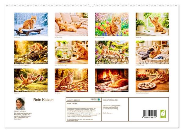 Produktbild: Rote Katzen (hochwertiger Premium Wandkalender 2027 DIN A2 quer), Kunstdruck in Hochglanz