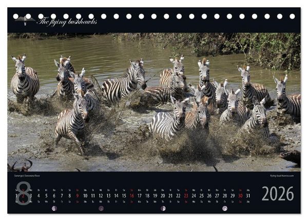 Produktbild: Tansania Blickwinkel 2026 (Tischkalender 2026 DIN A5 quer), CALVENDO Monatskalender