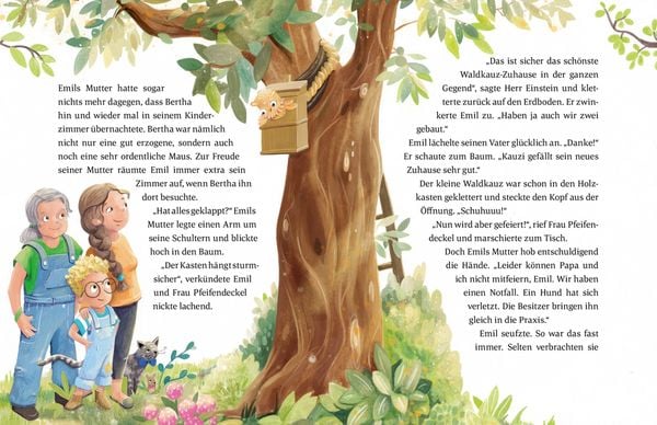 Produktbild: Emil Einstein (Bd. 2)