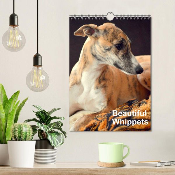 Produktbild: Beautiful Whippets (Wall Calendar 2026 DIN A4 portrait), CALVENDO 12 Month Wall Calendar