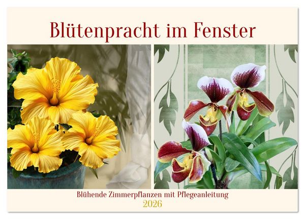 Blütenpracht am Fenster (Wandkalender 2026 DIN A3 quer), CALVENDO Monatskalender