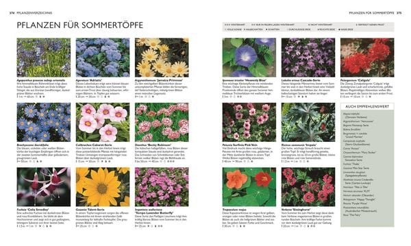 Produktbild: Die neue Gartenschule