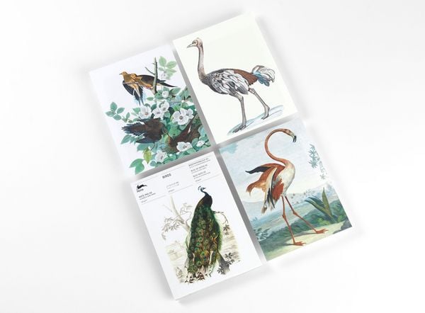 Produktbild: Birds